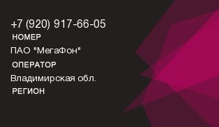 9209176605